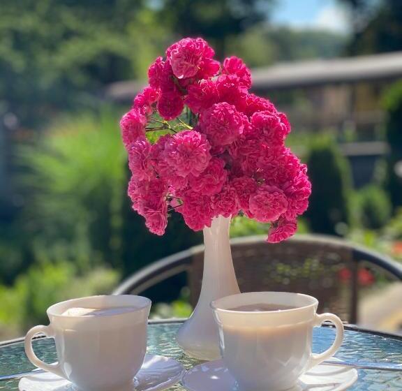 پانسیون сонячна соната