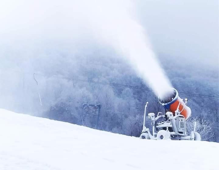 پانسیون сонячна соната