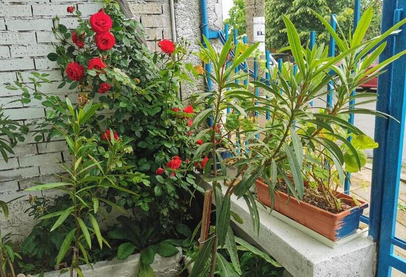 膳宿费 цвета