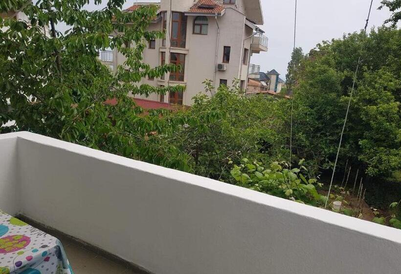 膳宿费 цвета