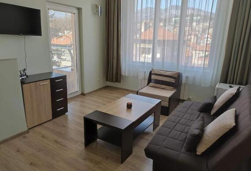 بنسيون приятелската къща