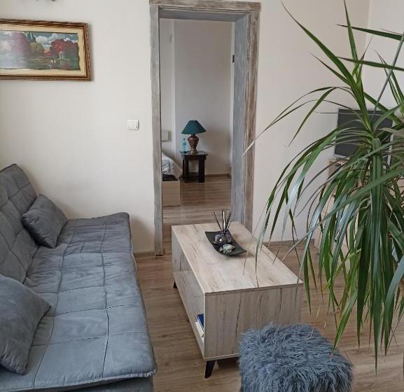 بنسيون приятелската къща