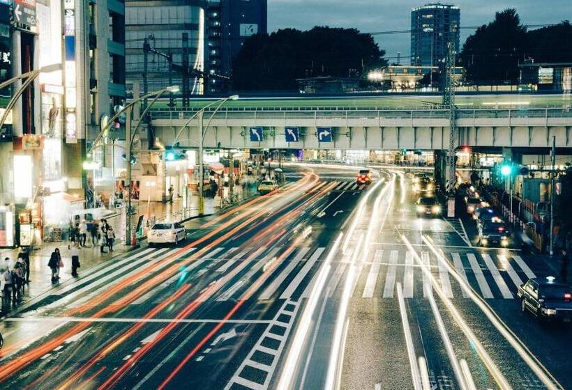 Pension Tora Hotel Tokyo Ueno 寅ホテル 上野 B