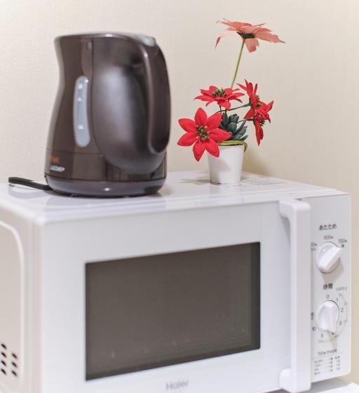 Pension Tora Hotel Tokyo Ueno 寅ホテル 上野 B