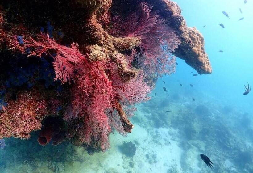 リゾートホテル Baan Chang Residence