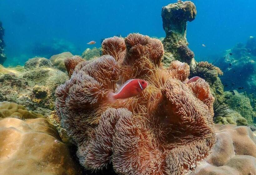 リゾートホテル Baan Chang Residence