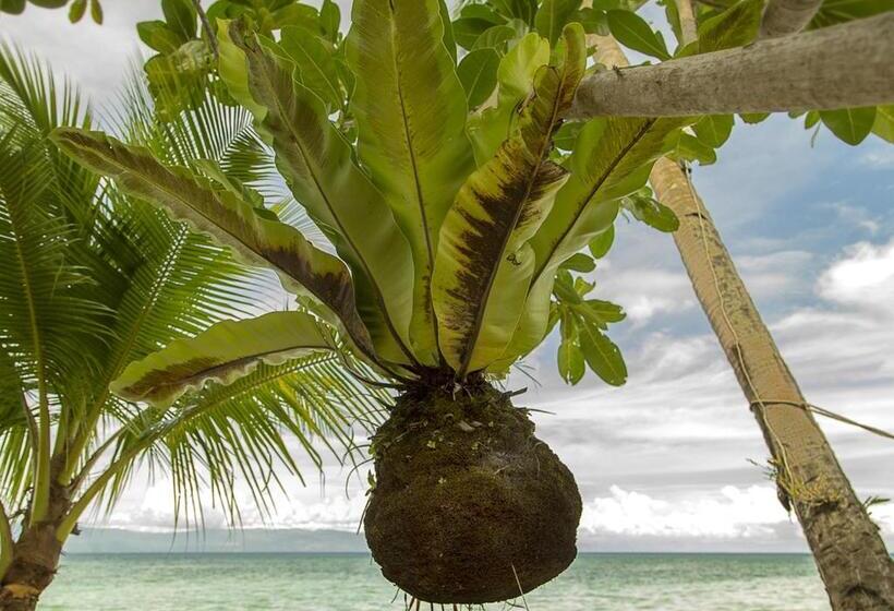 리조트 Les Maisons D'itac