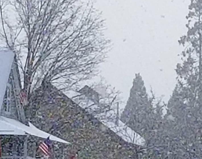 호스텔 American River Inn