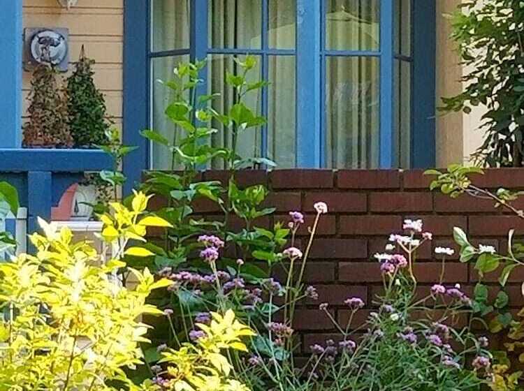 호스텔 American River Inn