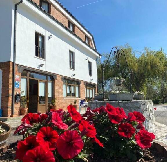 هاستل El Pradón