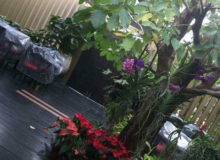 فندق صغير Palm Inn