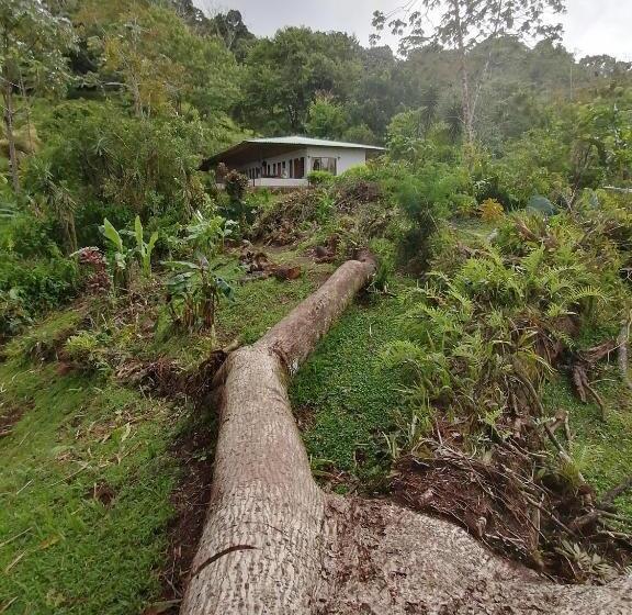 مبيت وإفطار La Ceiba Tree Lodge