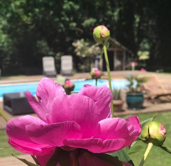 مبيت وإفطار La Perle De La Lauzière, Chambres D Hôtes