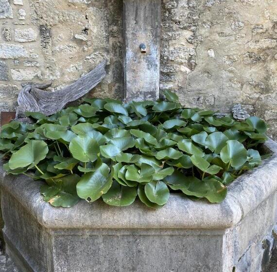 צימר Le Mas Du Lac