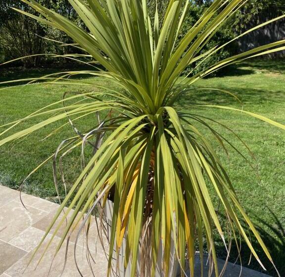 צימר Les Bergeronnettes   Chambres D Hôtes Bergerac