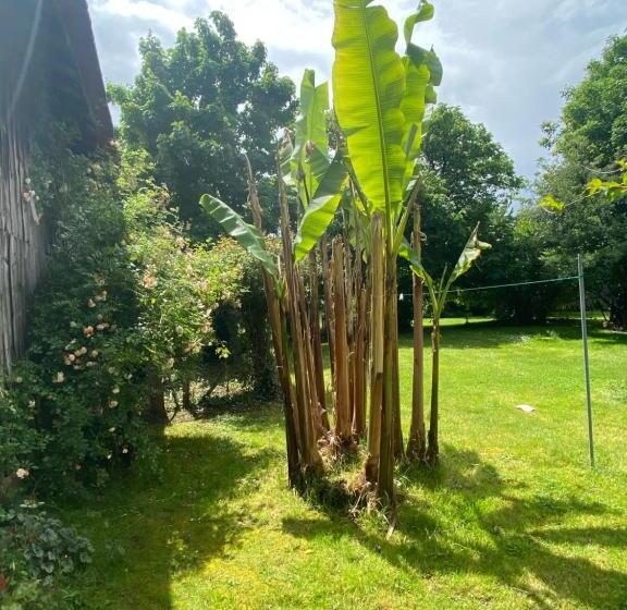 住宿加早餐  Les Bergeronnettes   Chambres D Hôtes Bergerac