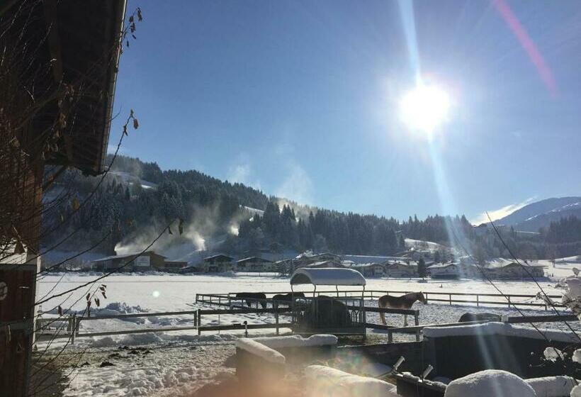 مبيت وإفطار Pension Klausnerhof