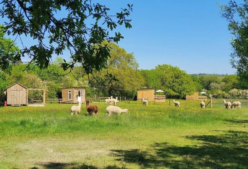 Double Decker Bus On An Alpaca Farm Sleeps 8, 5 Mins Drive To Dartmoor
