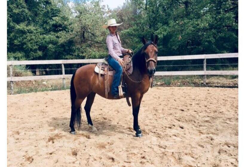 Gîte La Longère Bleue