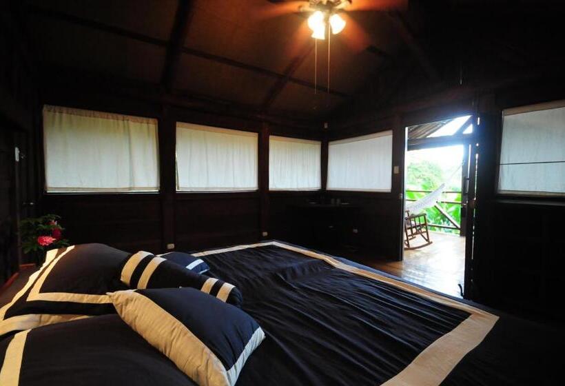 فندق La Anita Rain Forest