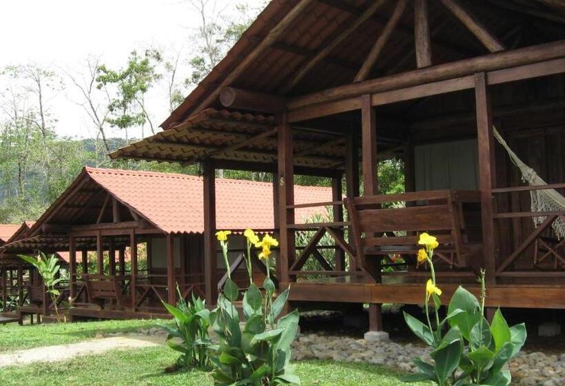 فندق La Anita Rain Forest