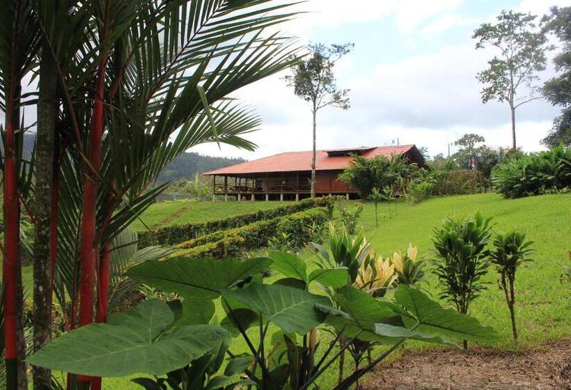 فندق La Anita Rain Forest