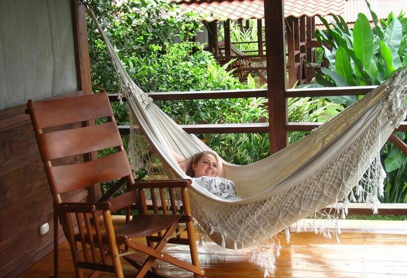 فندق La Anita Rain Forest