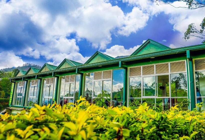 Hotel Punsisi Resort   Adam S Peak