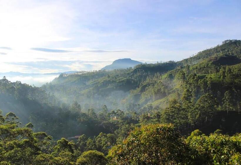 Hotel Punsisi Resort   Adam S Peak