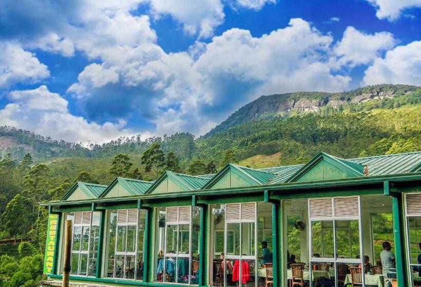 Hotel Punsisi Resort   Adam S Peak