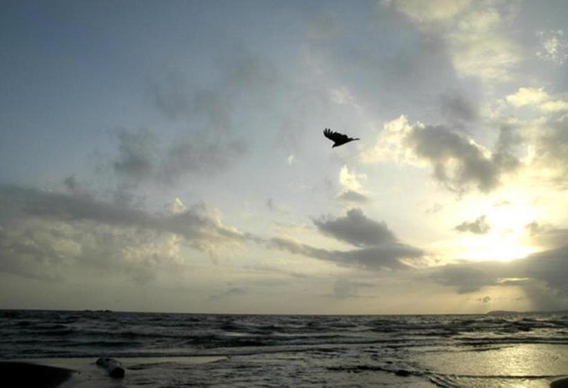 בית מלון כפרי San Juan Ometepe