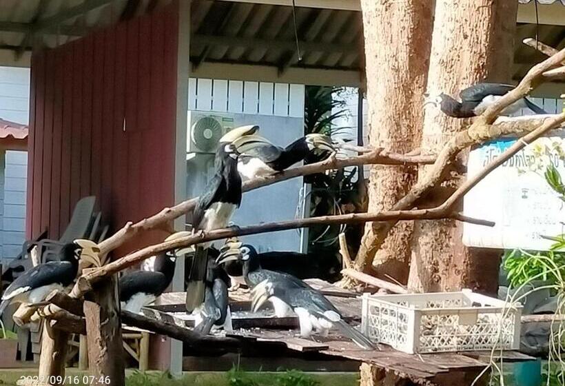 بنسيون Eco Bungalow