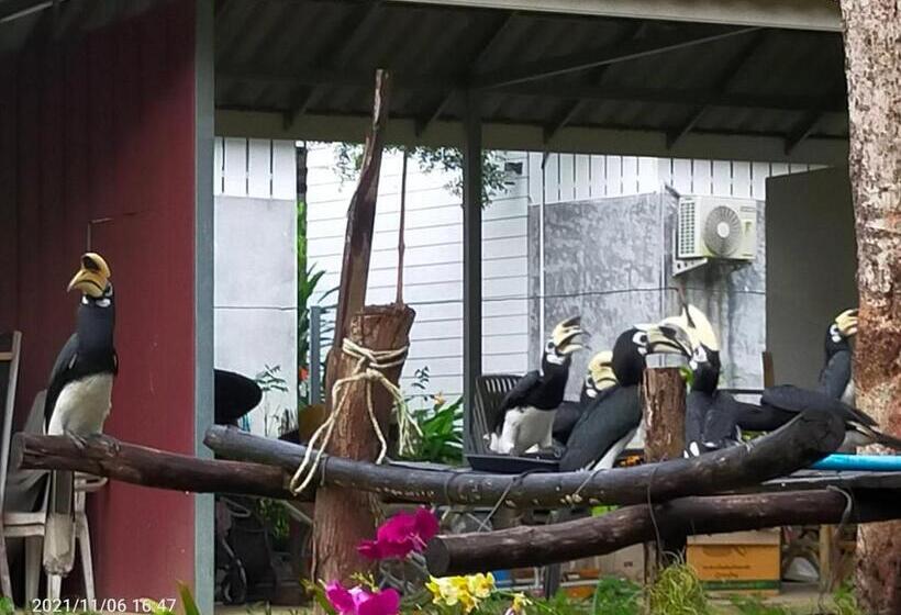 ペンション Eco Bungalow