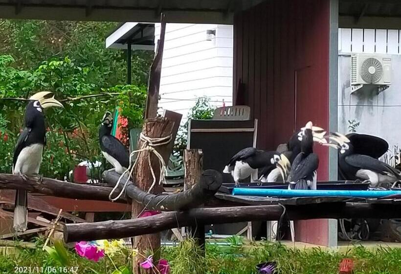 بنسيون Eco Bungalow