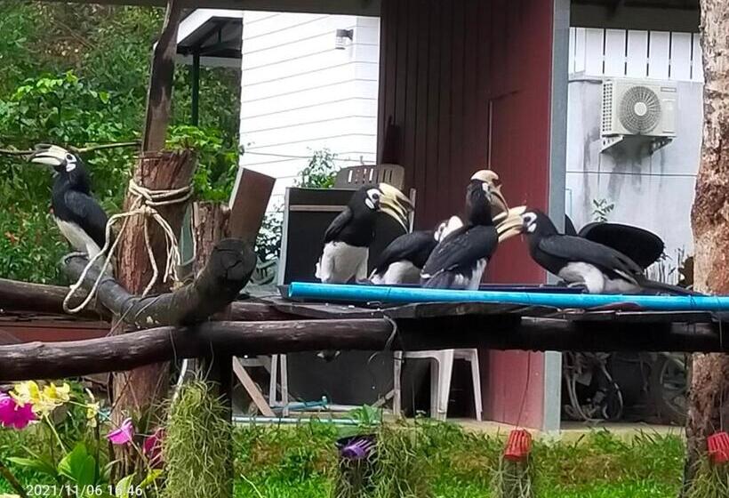 بنسيون Eco Bungalow