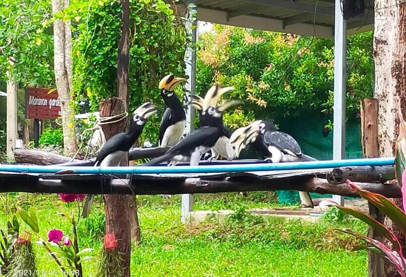 بنسيون Eco Bungalow