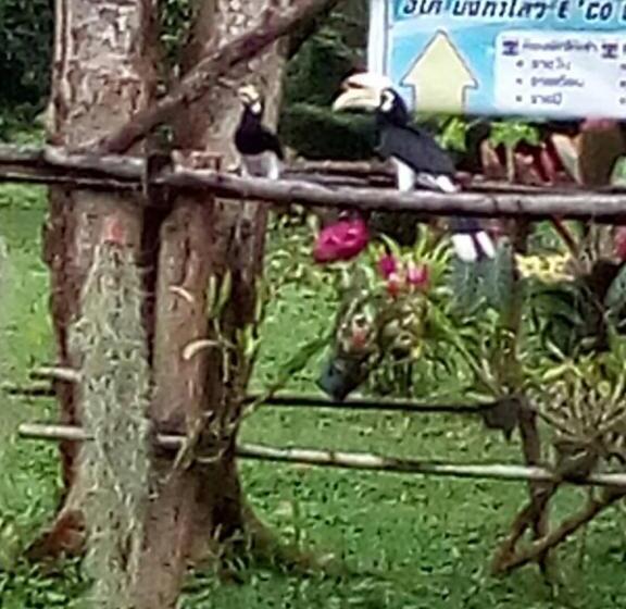 بنسيون Eco Bungalow