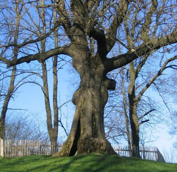 Пансион Landgasthof Groh