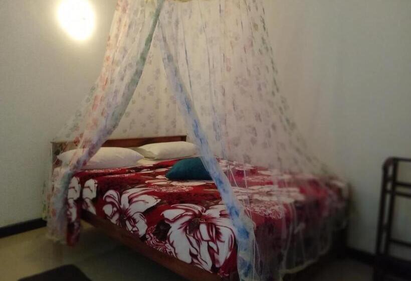 膳宿费 Lavendra Guset House