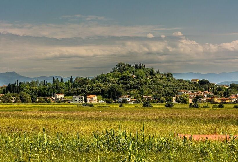 Villa Cerbaie   Happy Rentals