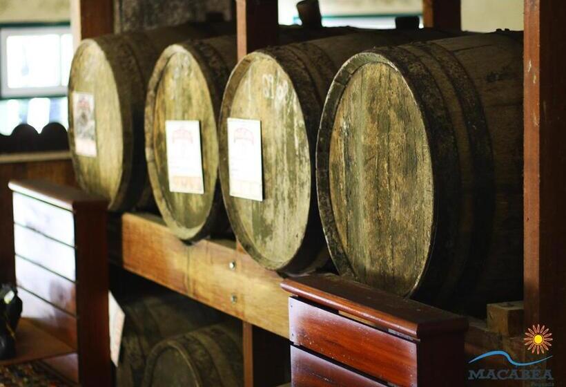 הוסטל Casa Macabéa