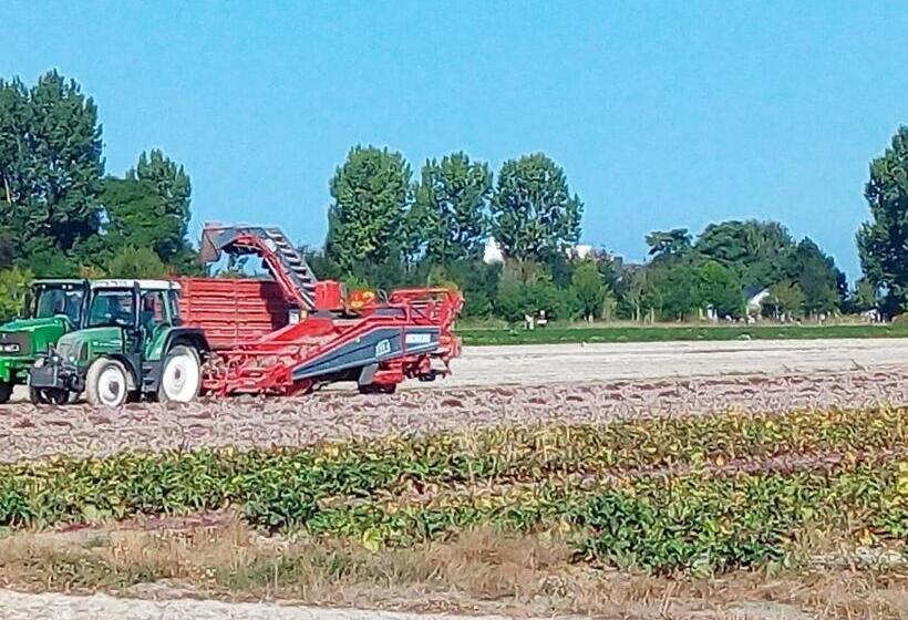 Bed and Breakfast La Jacotière