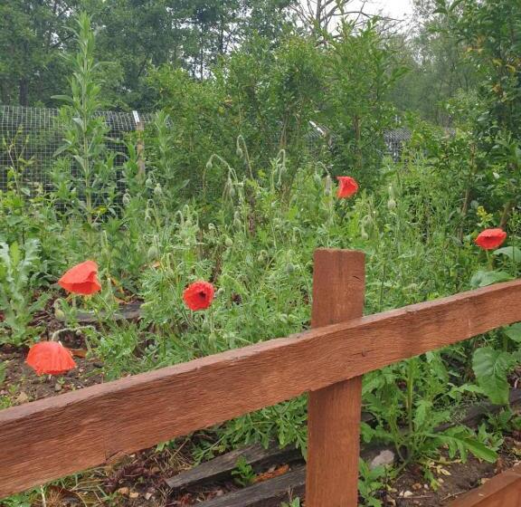 Bed and Breakfast Langdale Lodge