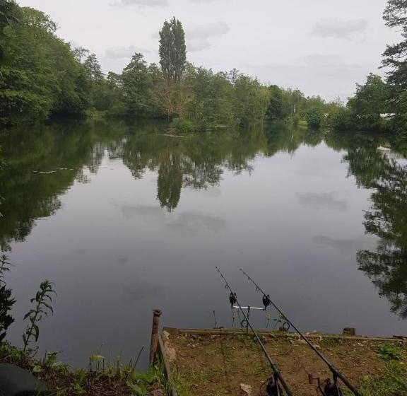 Bed and Breakfast Langdale Lodge