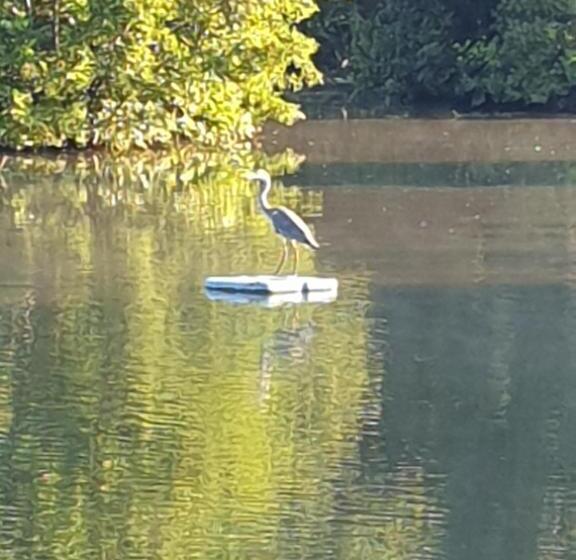 Bed and Breakfast Langdale Lodge