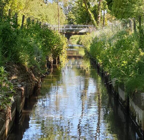 Bed and Breakfast Langdale Lodge