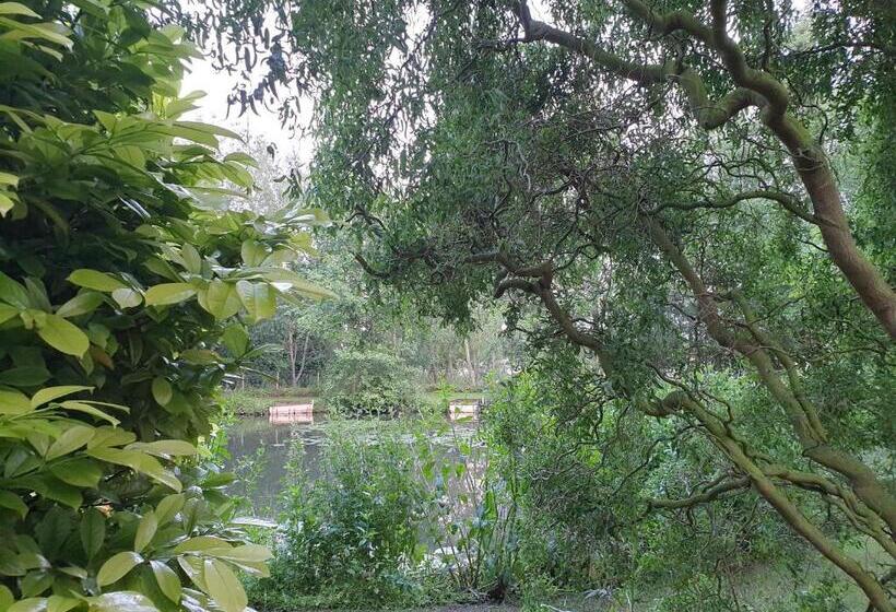 Bed and Breakfast Langdale Lodge