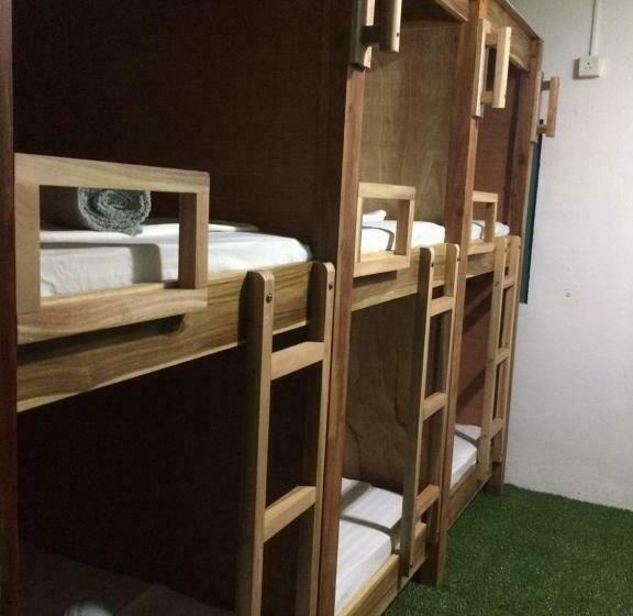 Coco Hostels   Arugambay