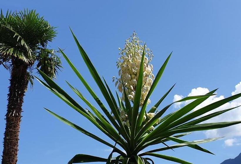 ホテル Albergo Bellavista