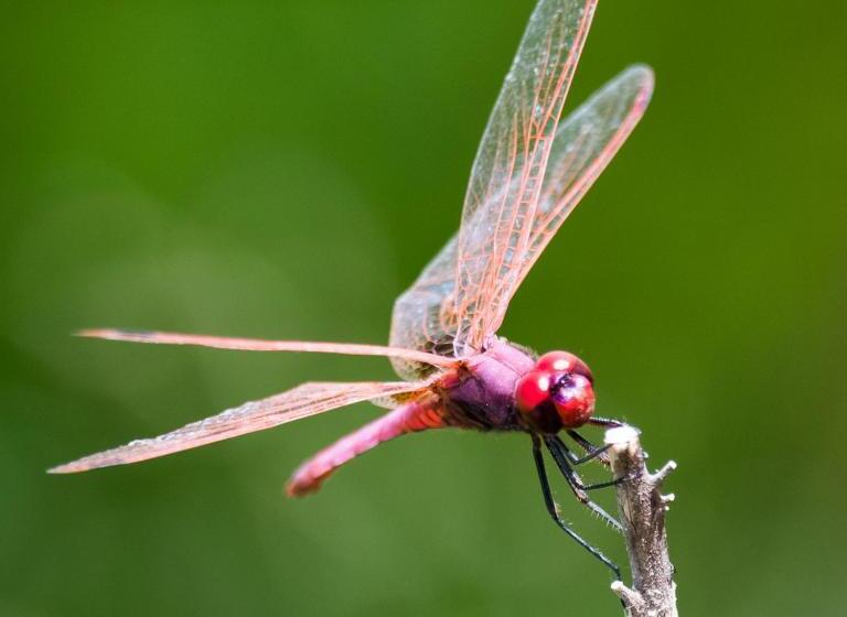 호텔 Casas Do Rio Sado Sado River Country Retreat
